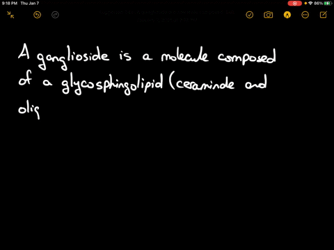 a-ganglioside-may-contain-all-of-the-following-except-a-a-ceramide-structure-b-glucose-or-galactose-