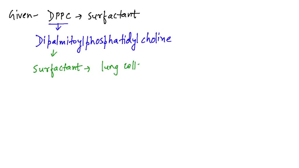 SOLVED:Describe the formation, composition, and function of pulmonary ...