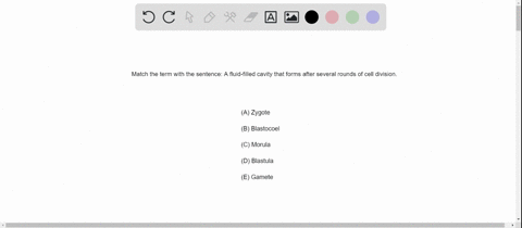each-group-of-questions-consists-of-five-lettered-headings-followed-by-a-list-of-numbered-phrases-12