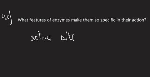 what-features-of-enzymes-make-them-so-specific-in-their-action