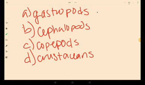 barnacles-are-shelled-______-a-gastropods-b-cephalopods-c-crustaceans-d-copepods