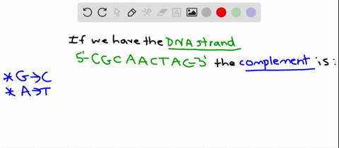 if-the-sequence-of-a-segment-of-dna-in-one-strand-is-5prime-mathrmcgcaactac-3prime-what-is-the-seque