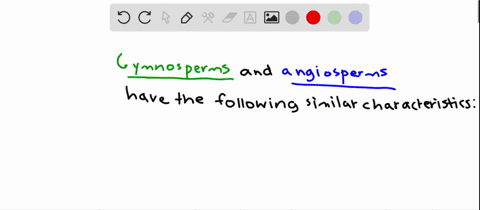 what-similar-features-do-gymnosperms-and-angiosperms-possess-that-differ-from-other-modern-vascular-