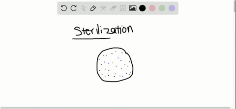in-practical-terms-in-everyday-use-which-of-the-following-statements-provides-the-definition-of-ster