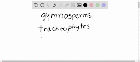 all-of-the-following-are-correct-about-plants-except-a-gymnosperms-have-cones-b-tracheophytes-have-x