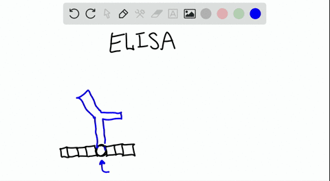what-is-the-basis-for-the-technique-called-elisa