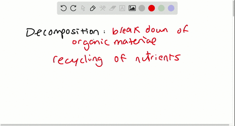 protists-with-the-capabilities-to-absorb-nutrients-from-dead-organisms-are-called-a-photoautotrophs-
