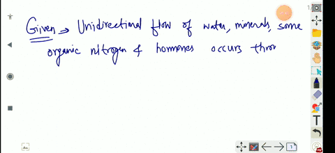 unidirectional-flow-of-water-minerals-some-organicnitrogen-and-hormones-occurs-through-a-xylem-b-phl