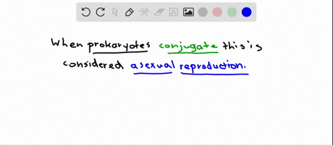 true-or-false-prokaryotic-conjugation-is-a-type-of-asexual-reproduction