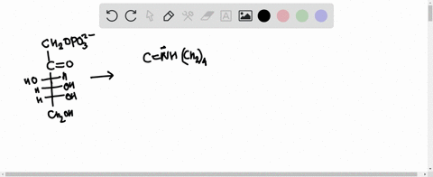 what-advantage-does-the-enzyme-gain-by-forming-an-imine