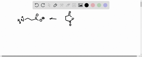 show-how-you-might-synthesize-beta-aminopropionic-acid-from-succinic-anhydride-beta-aminopropionic-a