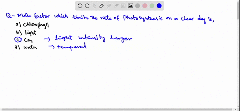 main-factor-which-limits-the-rate-of-photosynthesis-on-a-clear-day-is-a-chlorophyll-b-light-c-mathrm