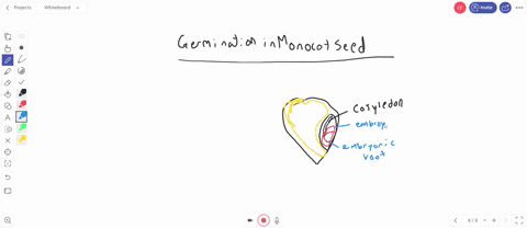 which-of-the-following-is-not-a-step-in-the-germination-of-a-monocot-seed-a-enzymes-secreted-into--2