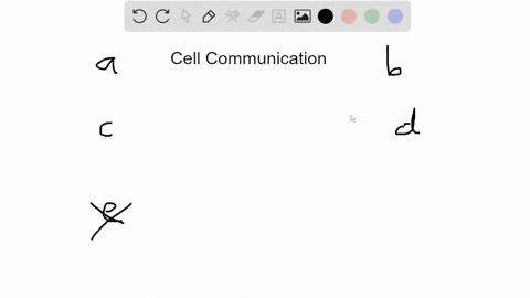 cells-in-cardiac-muscle-are-able-to-contract-in-a-coordinated-fashion-because-of-communication-made-