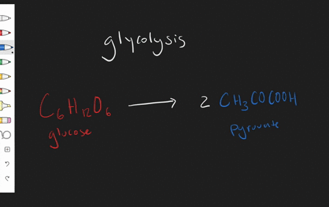define-each-vocabulary-term-in-a-complete-sentence-glycolysis