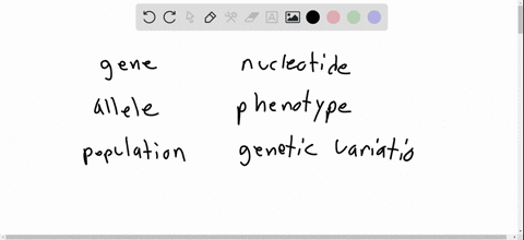 write-a-paragraph-that-describes-the-connections-among-the-following-terms-gene-nucleotide-allele-ph
