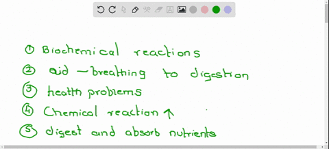 why-are-enzymes-needed-for-chemical-reactions-in-the-body