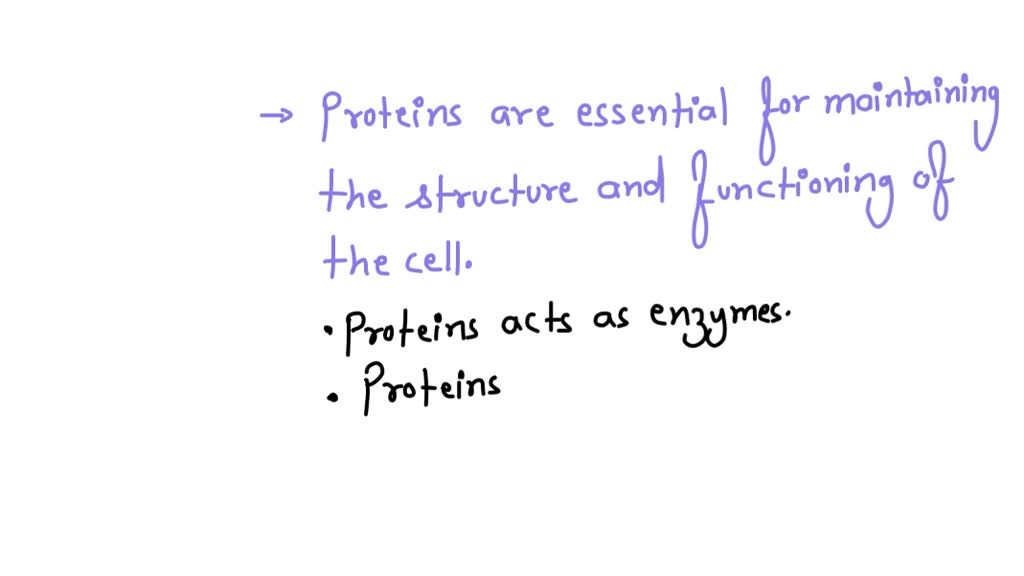 solved-what-are-the-characteristics-of-motor-proteins-how-do-organisms