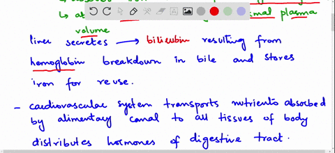 discuss-the-absorption-of-the-products-of-digestion-into-the-lymphatic-and-cardiovascular-systems--2