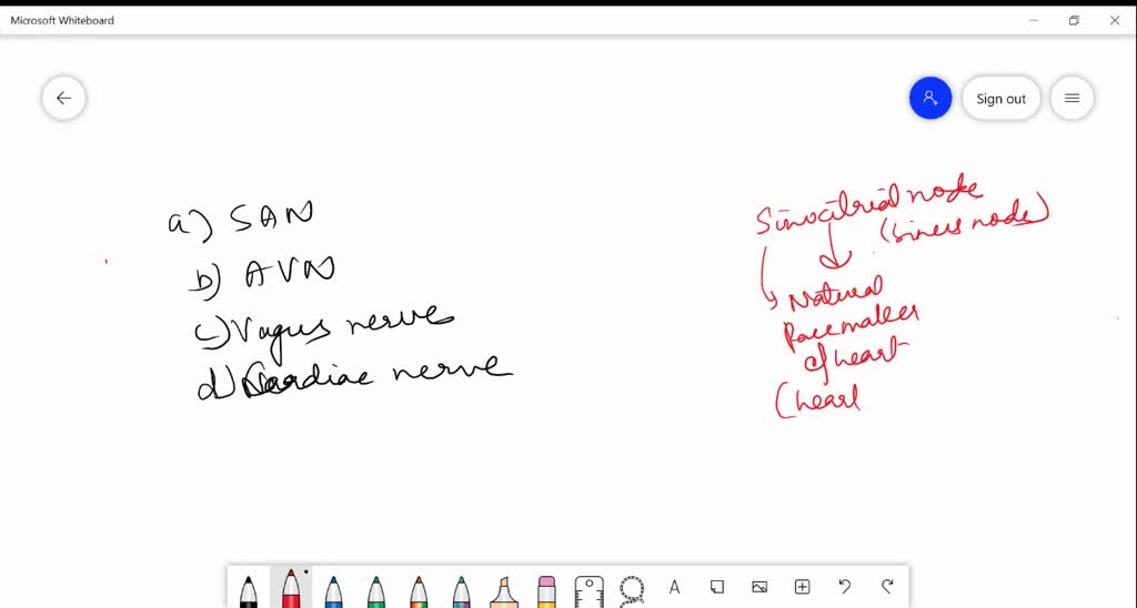 SOLVED:The impulse of heartbeat originates from (a) SAN (b) AVN (c ...