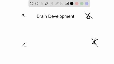 the-brain-grows-most-quickly-during-______-a-the-neonatal-period-b-adulthood-c-infancy-d-senescence