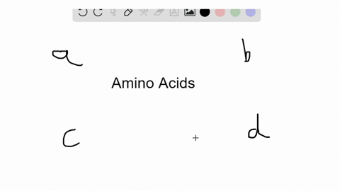 the-amino-acids-that-must-be-consumed-in-the-diet-are-called-essential-nonessential-amino-acids-a--5