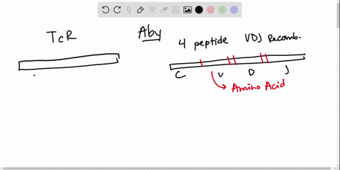 in-what-way-can-antibodies-increase-their-diversity-that-ters-cannot