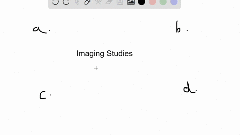 which-of-the-following-imaging-studies-can-be-used-most-safely-during-pregnancy-a-ct-scans-b-pet-sca