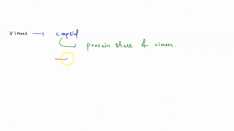 the-capsid-of-a-virus-consists-of-a-protein-b-nucleic-acid-c-helical-protcins-d-a-simple-carbohydrat