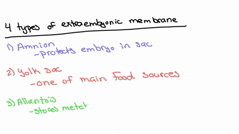 describe-the-structure-and-function-of-the-four-extraembryonic-membranes-found-in-reptiles-including