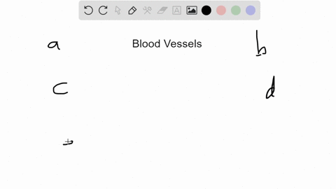 __________-carry-blood-away-from-the-heart-and-carry-blood-toward-the-heart-and-____________-a-veins