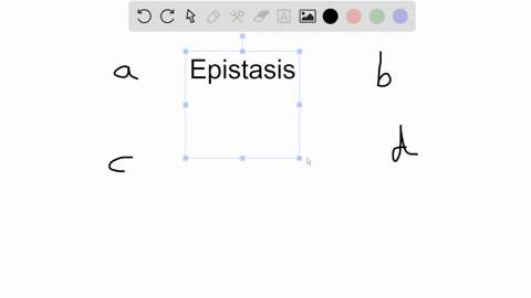 in-epistasis-a-a-portion-of-a-chromosome-is-deleted-b-one-gene-masks-the-effect-of-another-c-only-re