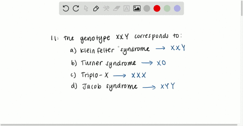 the-genotype-x-x-y-corresponds-to-a-klinefelter-syndrome-b-turner-syndrome-c-triplo-x-d-jacob-syndro