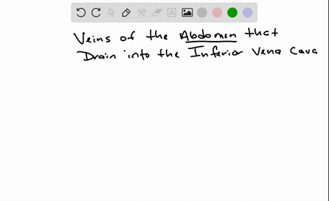 which-of-the-following-do-not-drain-directly-into-the-inferior-vena-cava-a-inferior-phrenic-veins-b-