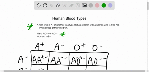 a-man-with-type-a-blood-whose-father-had-type-o-blood-and-a-woman-with-type-mathrmab-blood-could-pro