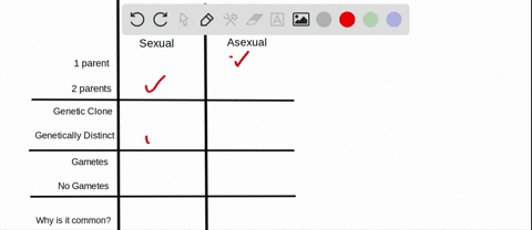 describe-the-main-differences-between-asexual-and-sexual-reproduction-why-are-both-types-of-reproduc