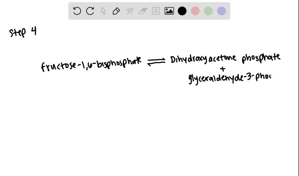 SOLVED:The enzyme formerly known as GPT (glutamate- pyruvate ...