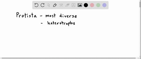 all-of-the-following-are-true-of-protista-except-a-all-are-heterotrophs-b-all-are-eukaryotes-c-they-