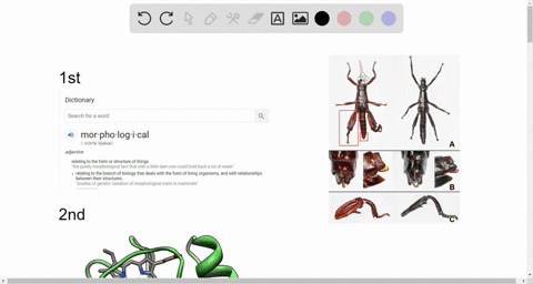 which-is-not-an-example-of-a-morphological-adaptation-a-cytochrome-c-is-similar-in-monkeys-and-human