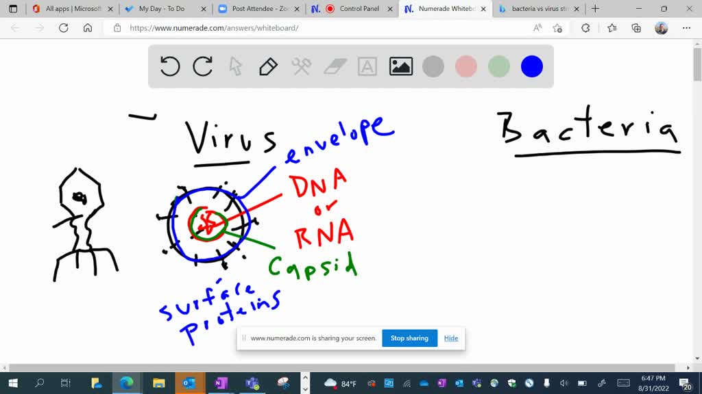 SOLVEDWhat is the chain of infection model of disease transmission? Draw the model and label