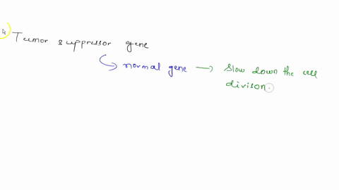 tumor-suppressor-genes-a-normally-increase-the-rate-of-cell-proliferation-b-normally-promote-cell--2