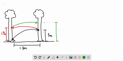 ssm-two-trees-have-perfectly-straight-trunks-and-are-both-growing-perpendicular-to-the-flat-horizont