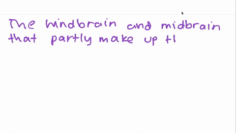 the-brainstem-is-comprised-of-the-a-forebrain-and-ras-b-hindbrain-and-midbrain-c-cerebellum-and-cere