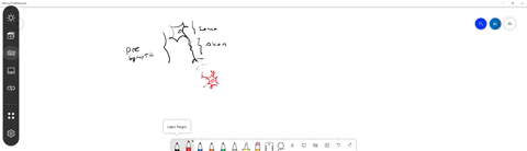 which-of-the-following-matches-between-neurotransmitter-and-sites-of-action-is-correct-a-acetylcholi