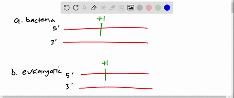 the-following-diagram-represents-a-transcription-unit-on-a-dna-molecule-graph-cant-copy-a-assume-tha
