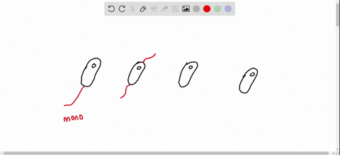 which-of-the-following-terms-refers-to-a-bacterial-cell-having-a-single-tuft-of-flagella-at-one-end-