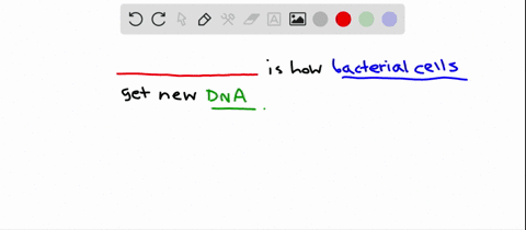 by-what-means-do-bacterial-cells-acquire-new-dna-a-by-conjugation-the-mating-of-two-cells-of-the-sam