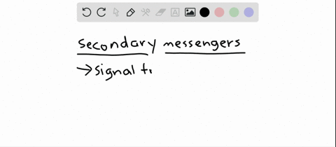 which-of-the-following-is-not-a-second-messenger-for-signal-transduction-a-calcium-ions-b-nitric-oxi