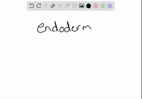 match-the-terms-with-the-most-suitable-description-______exocrine-gland-______endocrine-gland-______
