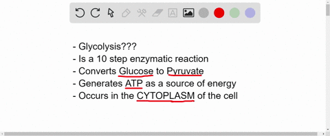 the-process-of-glycolysis-occurs-where-in-the-cell-a-chloroplasts-b-mitocondrion-c-nucleus-d-cytopla